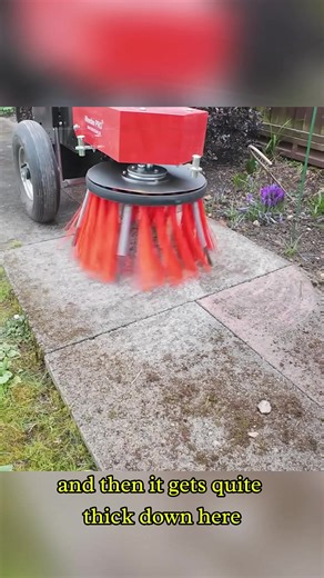 Effective Moss Removal for a Clean Pathway