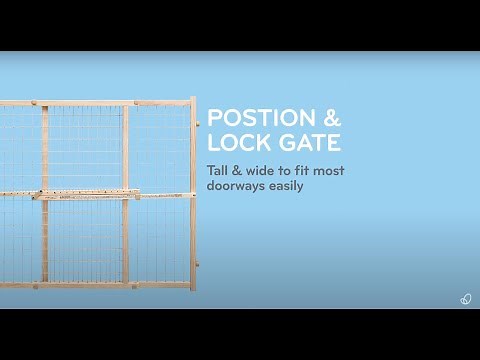 Evenflo Position & Lock Tall Gate