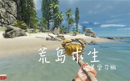 免费白嫖 荒岛求生Stranded Deep 一款生存冒险类型的独立游戏 三联+私信自动回复