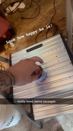 Fish Health Hub | How could you say no to a face like that! 😍⁠ ⁠ Click the link in our bio to learn how to create your perfect underwater ecosystem 🐠⁠ ⁠... | Instagram