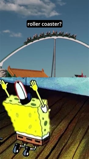 Obsessed with This Roller Coaster: A Thrill Ride!