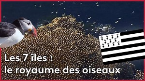 Documentaire | Bretagne : l’archipel des 7 îles