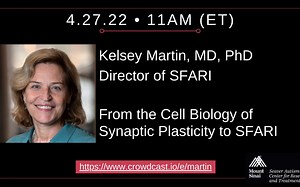From the Cell Biology of Synaptic Plasticity to SFARI - Kelsey Martin | 04/27/22