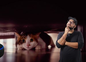 ¿No encuentras a tu gato? Alexa te puede ayudar a buscarlo