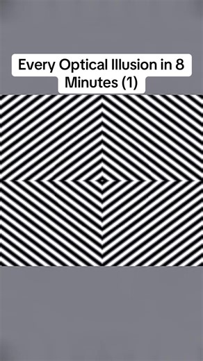 Every Optical Illusion in 8 Minutes #LanguageLearning | Optical Illusions
