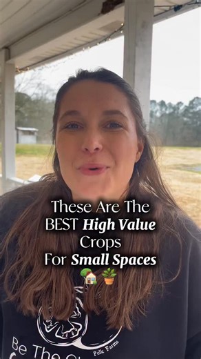 Polk Farms on Instagram: "Part 2 of Small Space Homesteading: BEST high value crops for limited space!! You do NOT have to have land to garden or be self sufficient. Growing your own food can start right where you are: porches, patios, indoors. If I were limited on space, these are some of the crops I would focus on to feed my family! 🍓 #smallspaceliving #smallspacegardening #gardeningforbeginners #homesteadingforbeginners #selfsufficient"