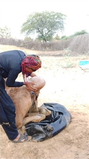 شاهد كيف يبتسم بهدوء بينما يمرر الشيء بخفة، والفتى يخرج والماء يلمع ليمنحهم إحساساً بالبرودة!