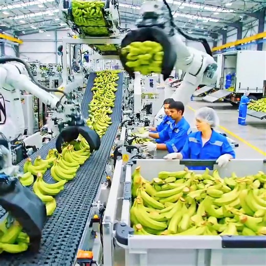 The Complete Baby Diaper Production Process at a Banana Stem Factory
