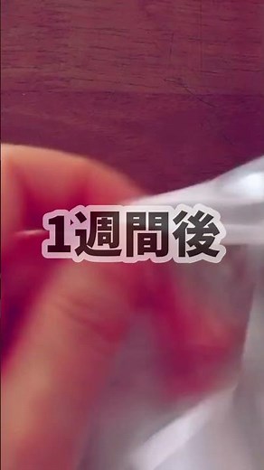 【家庭菜園】種の発芽を簡単に復活させる方法#Shorts #家庭菜園 #発芽