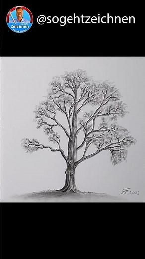 Bäume zeichnen mit Bleistiften für Anfänger