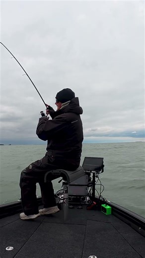 INSANE Walleye Eat on Garmin Livescope!! #walleyefishing #fishing #fish