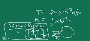 Water rises in a capillary tube to a height of 2.0 \mathrm{~cm}... | Filo