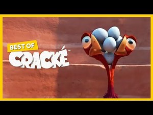 CRACKÉ - CHOPPED | Cartoon Animation | Compilation