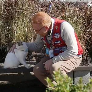 When a Lowe's store cat disappeared, staff pulled out all the stops to find her