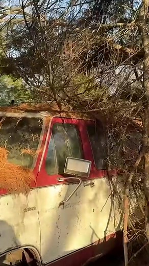 99K views · 1.3K reactions | 30 Years Parked: Can the Big Block 460 Ignite? 樂 #bigblock #van #rusty #revivial #cars #viral #reels | Sleeperdude88 | Facebook