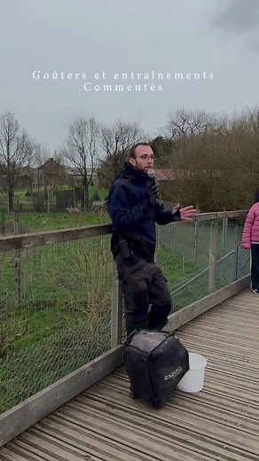 Pendant les vacances, un programme de goûters et d’entraînements commentés vous est proposé. Si vous souhaitez en savoir plus sur nos animaux, réservez vos places ici : legendiaparc.com