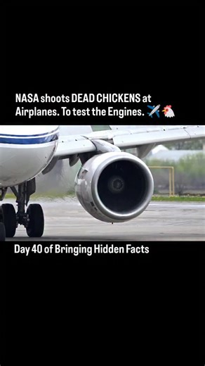 Better Humans Lab on Instagram: "How do you test if a jet engine can survive a bird strike? You build a "Chicken Gun." It is a compressed-air cannon designed to fire a freshly thawed chicken at a plane windshield at 400 mph. Scientists have strict rules: The chicken must be thawed. If it’s frozen, it acts like a rock and punches straight through the metal. High-tech aerospace engineering is basically just throwing poultry at expensive glass."
