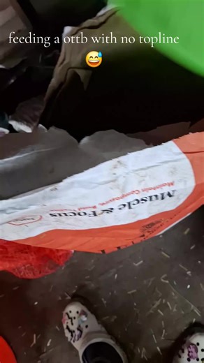 Feeding an OTTB Without Topline: Key Tips and Insights