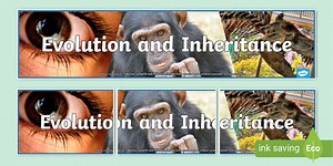Evolution and Inheritance Photo Display Banner