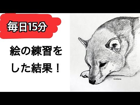 初心者が毎日15分犬の絵を描いてみた! How to draw cute dogs #pencildrawing #鉛筆 #かわいい犬 #お絵描き #イラストメイキング #animaldrawing