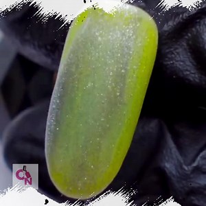 Best Nail Art Designs for 2021 You Need to Try | Crazy Nailzz - The Nail Art Studio