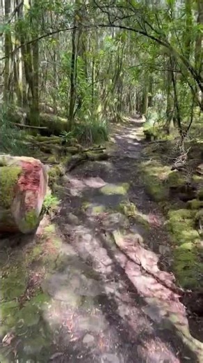 Conquering 3 Epic Peaks in Tasmania Frenchmans Cap Adventure | 5 Abel Peaks Challenge