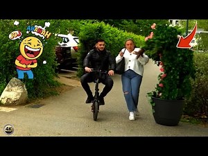 They Thought It Was Just a Tree — Big Mistake