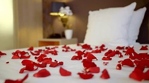 Close-up Rose Petals On Luxury Bedding Stock Footage Video (100% Royalty-free) 1112023299 | Shutterstock