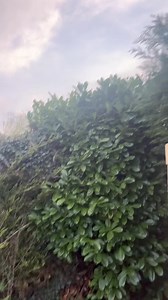 Training for the circus skills bits in my Deadly Live tour… | Steve Backshall