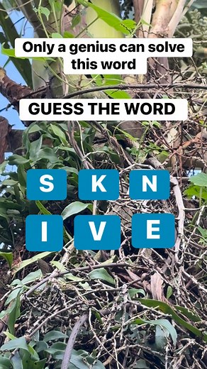 65K views · 211 reactions | Solve this unscramble word!  #puzzle #wordgame #viralgame #testyourbrain #PuzzleMaster #VocabularyChallenge #PuzzleFun #wordscramble #unscramblelt #fblifestylechallenge | Zeewanderer | Facebook