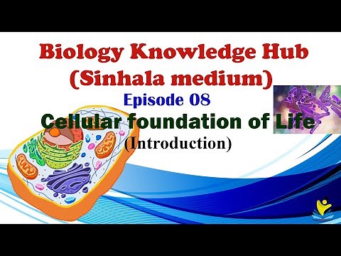 Introduction | Episode 08 | Cellular foundation of Life | Biology Knowledge Hub(English medium)