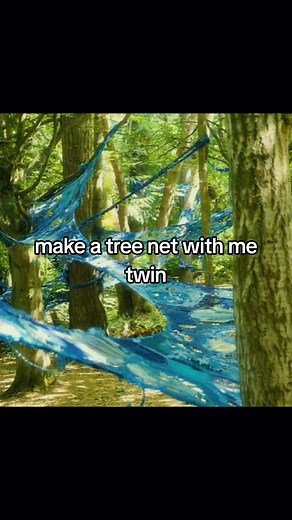 please bro #treenet #please #foryou inspo @beatrice🪶 | tree net