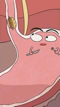 Why You Keep Eating Junk Food Even When You’re Full #animation