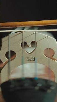 Phantom vibrations (the magic of Sympathetic Strings)