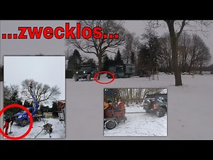 Zwecklos | Baumpflege Mertens