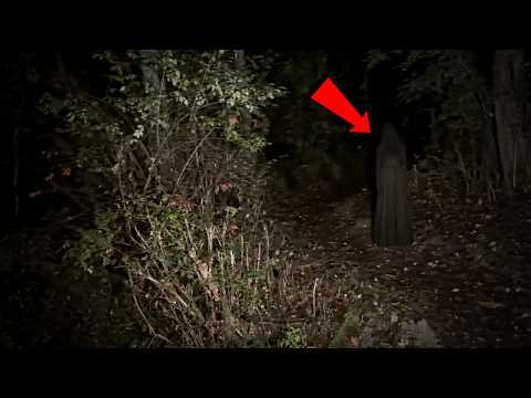 5 Most Disturbing Forest Encounters Caught on Camera