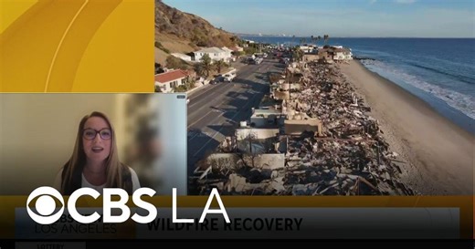 LA County Supervisor Lindsey Horvath discusses homeless funding and the wildfire report