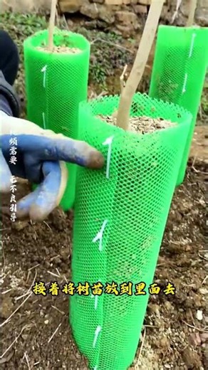 Can you really earn millions a year just by filling this white bag with soil?! #Science #Knowledg...