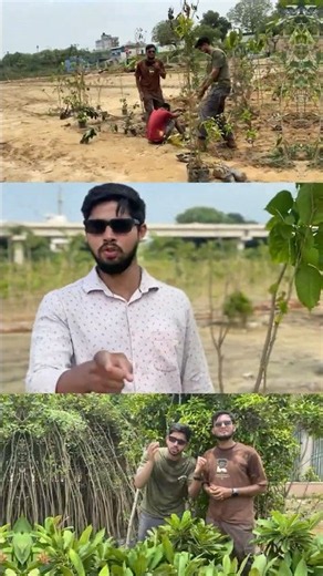 🚨 STOP SCROLLING! 🌳 The Trees We Plant Today Will Save Tomorrow 🥵🌍 #shorts #kind2earth #explore