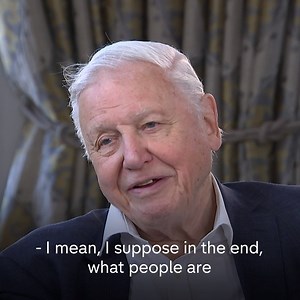559K views · 9.1K reactions | Sir David Attenborough says it is "shameful" of the Prime Minister not to attend last night's climate change debate. "I don't know what else he had to do, but it would have to be very, very important to dodge this one." Snow meets Attenborough. Tonight at 7pm on Channel 4. | Channel 4 News | Facebook
