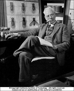 Alfred Sturtevant - Alchetron, The Free Social Encyclopedia