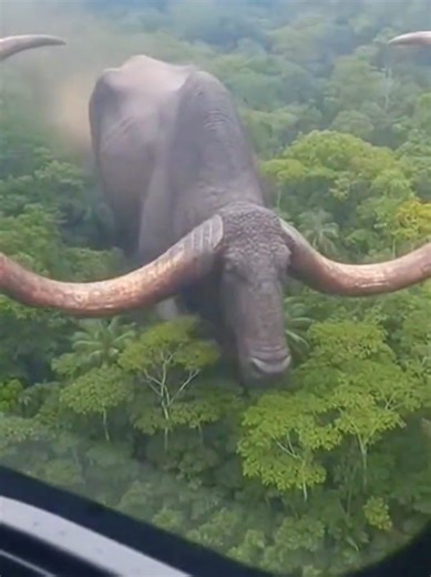 you can't believe this transformation ☠️ #beforeafter #transformation #transformationvideo #fyp #viral