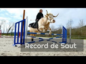 Jumping : La puissance d'Aston !