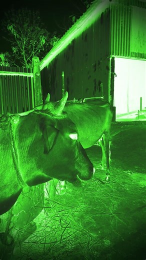 #ghost #soundeffectsstudio #creepy #scary #horror #bhoot #sound #soundeffect #horrorstation #horrorf