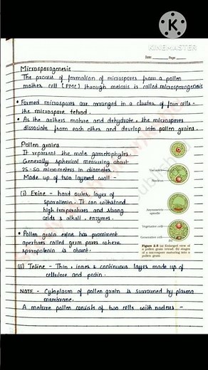 Class 12th || BIO || Ch-1 || SEXUAL REPRODUCTION IN FLOWERING PLANTS || NOTES & EXERCISE