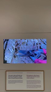 They say the best wine museum in the world is in Porto!  If you're passionate about wine, you must visit our museum! Discover the history of wine, learn about unique grape varieties and enjoy an exclusive wine tasting at the end. | WOW Porto | Facebook