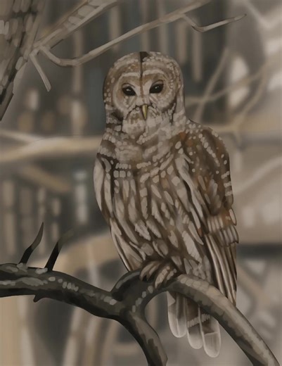 a year ago i fell down the stairs and suffered a concussion. today im starting to forget how to draw. every day I teach myself how to redraw. come on this journey with me. Im doing videos like this from now on since I cant get a better set up. It saves time also. Grandma's Owl complete #artist #art #reelsvideoシ #video #viralreelsシ