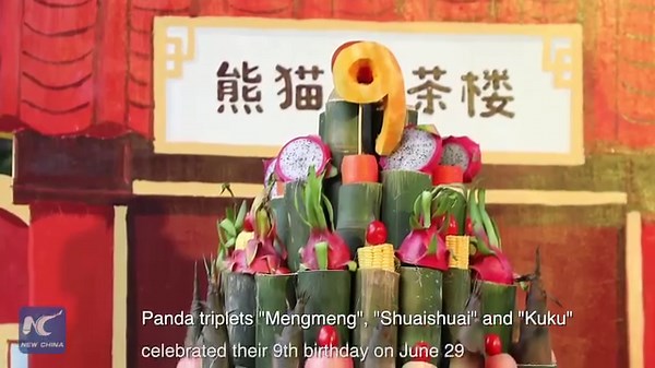 2.1K views · 121 reactions | Three adorable cuties just turned nine years old! The world's only panda triplets are celebrating their birthday in south China's Guangdong Province, with presents, good company, and a special birthday cake. Click to join the celebration and wish them a happy birthday! | Xinhua Culture&Travel | Facebook