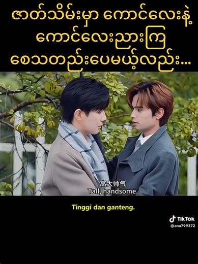 #tomyshore #ep15trailer #ဟော