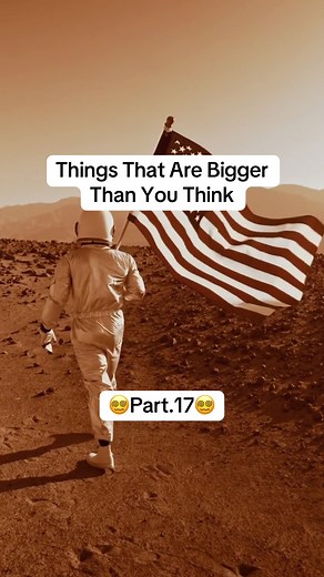 😵‍💫Things That Are Bigger Than You Think😵‍💫🌬️🌳 #incredible #interesting #fypツ #fyp #viral #tree